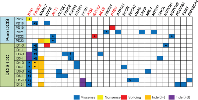 Non-silent somatic mutations in 16 breast samples referenced in the cancer Gene Census.