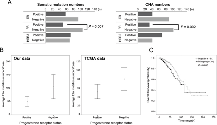 Somatic mutations and copy number alterations according to the receptor status.