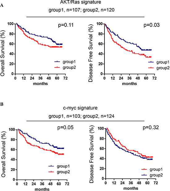 AKT/Ras and c-Myc mouse liver tumor signatures are related to patients&#x2019; HCC prognosis.