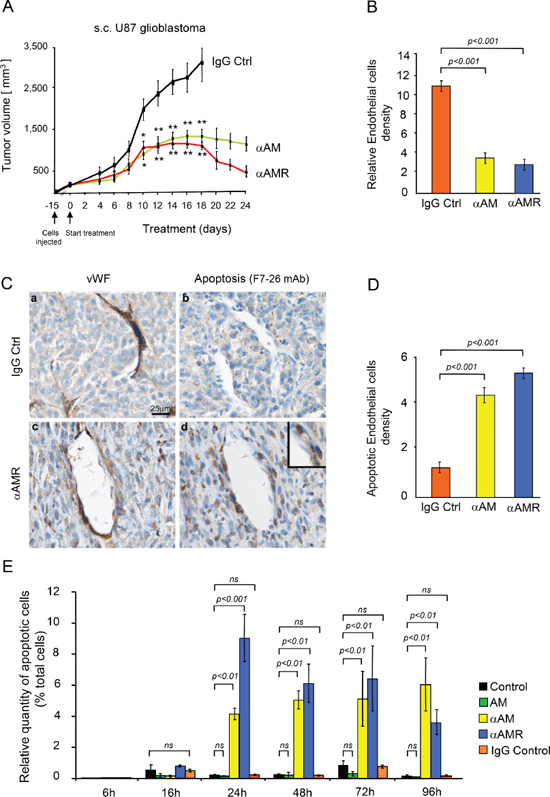 In vivo tumor analysis.