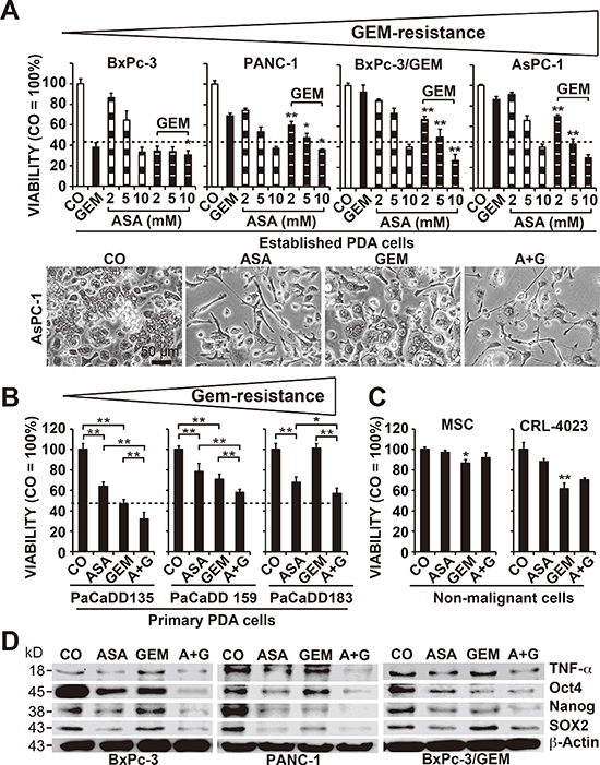Aspirin overcomes gemcitabine resistance and alters the expression of reprogramming factors.