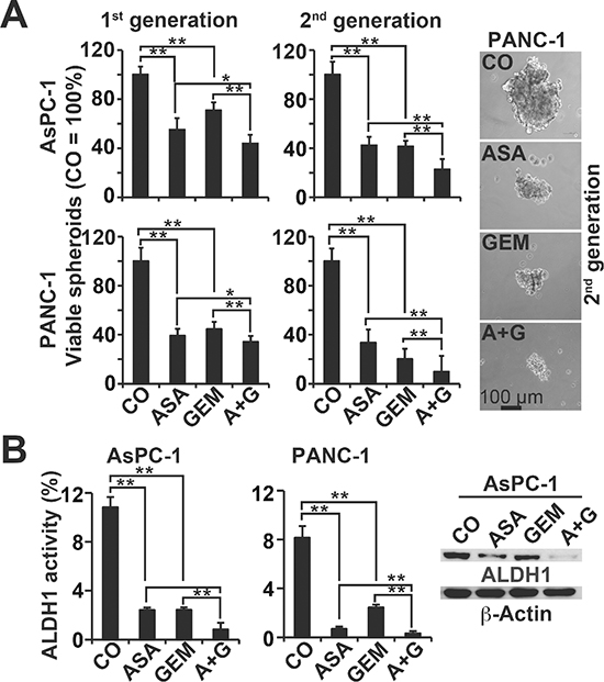 Aspirin inhibits spheroid formation and ALDH1 activity and enhances gemcitabine efficacy.