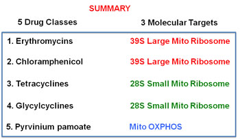 Summary of drug discovery.