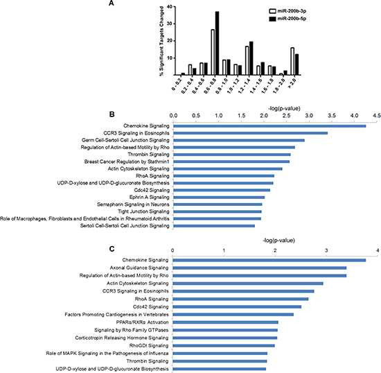 miR-200b-3p and miR-200b-5p display synonymous regulation patterns of target pathways.