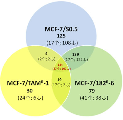 Gene expression profiling of MCF-7/S0.5, MCF-7/TAM