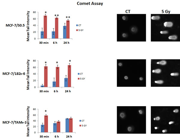 Radiation-induced DNA damage in MCF-7/S0.5, MCF-7/TAM