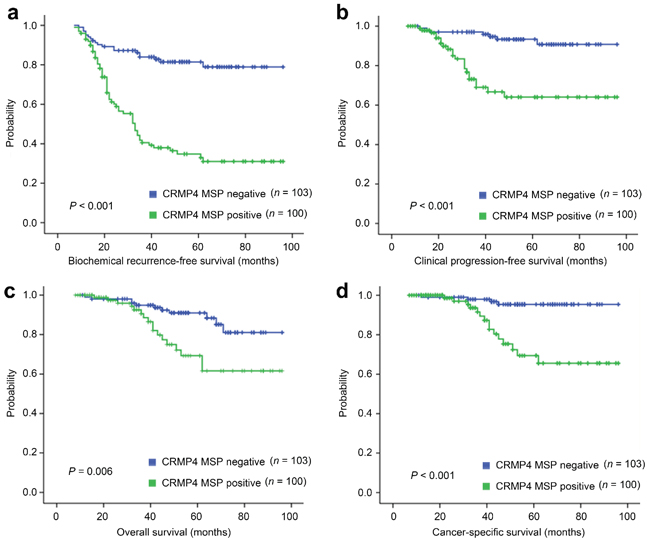 Differential survival of prostate cancer patients with positive and negative CRMP4 CpG methylation.