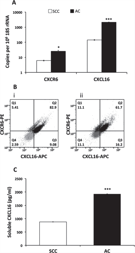 CXCR6 and CXCL16 expression in LuCa cell lines.