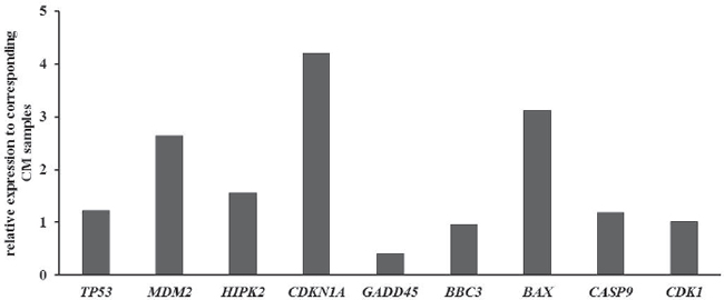 Quantitative PCR of the p53 pathway in FFPE tumor samples.