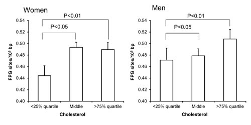 Levels of FPG-sensitive sites in PBMCs from subjects stratified in plasma cholesterol concentrations being less than the 25% quartile, middle or more the 75% quartile for the sex.