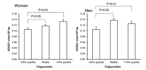 Levels of hOGG1-sensitive sites in PBMCs from subjects stratified into serum levels of triglycerides being less than the 25% quartile, middle or more the 75% quartile for the sex.