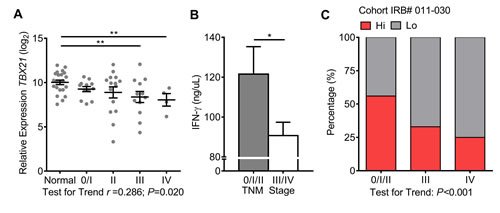 Type-1 T-cell activity decreases with advanced TNM stages.