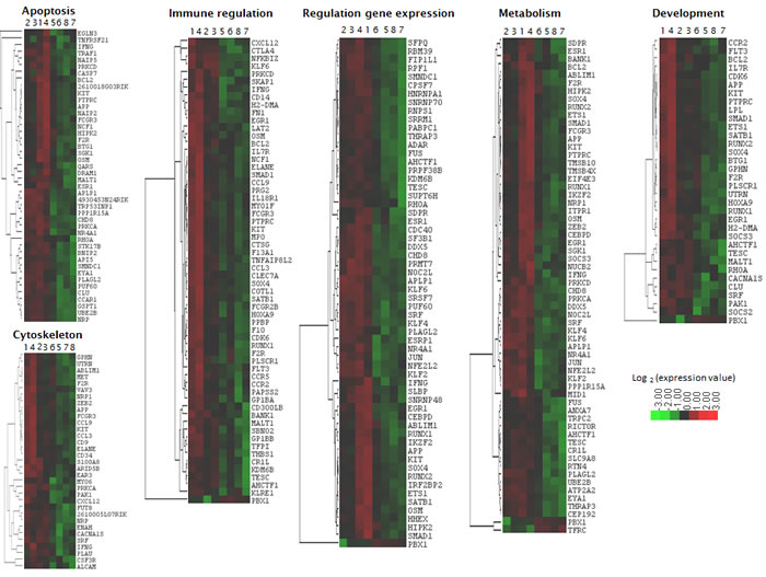 Heatmap of quisinostat-deregulated genes with overlapping functions identified by GO analysis and Reactome.