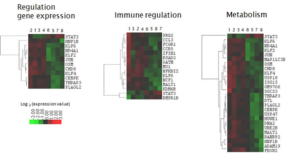 Heatmap of decitabine-deregulated genes with overlapping functions identified by GO analysis and Reactome.