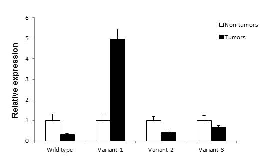 Real time PCR analysis of Rad51C variant expression in colorectal tumors and non-tumors.