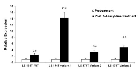 Real time PCR analysis of Rad51C variant expression in LS-174T colorectal tumor cells post 5-azacytidine treatment.