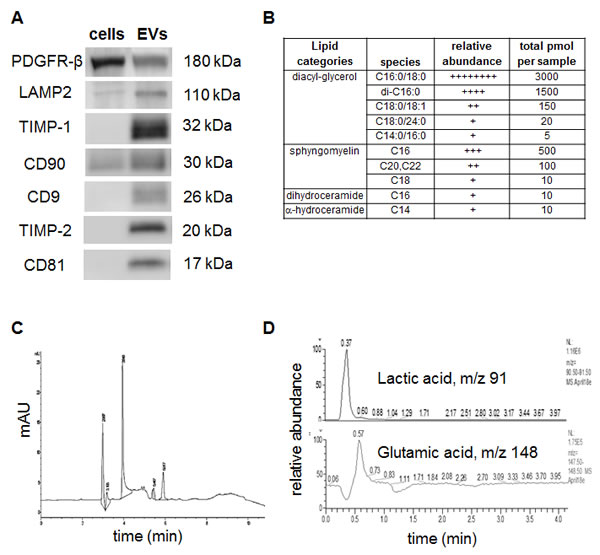 Figure 2 : Detection of specific proteins and small molecule metabolites in EVs: