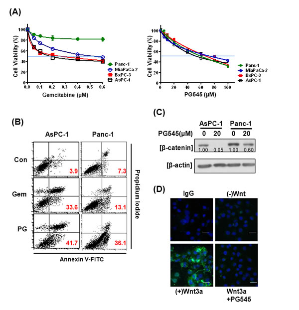 Effects of PG545 and gemcitabine treatment on pancreatic cancer cells.