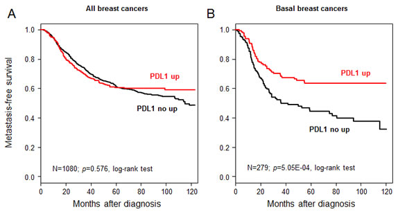 Metastasis-free survival according to PDL1 mRNA expression in the whole population and in basal breast cancers.