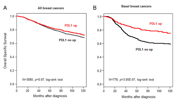 Overall specific survival according to PDL1 mRNA expression in the whole population and in basal breast cancers.