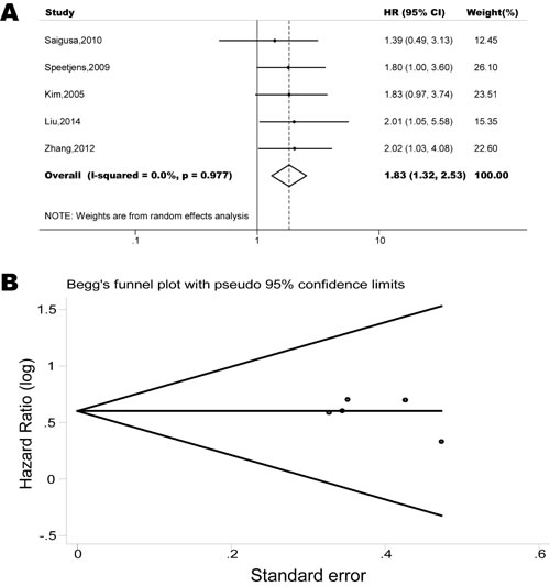 Forest plots show association between CXCR4 over-expression and OS in colorectal cancer.