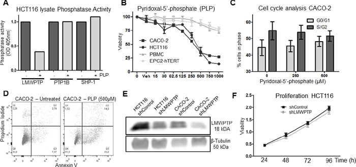 Effects of chemical inhibition and knockdown of LMWPTP on the oncogenic potential of colorectal cancer cells.