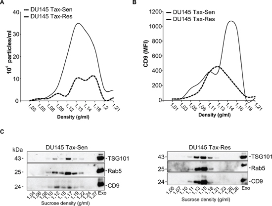 Comparative biochemical characterization of exosomes isolated from docetaxel sensitive and resistant DU145 cells.