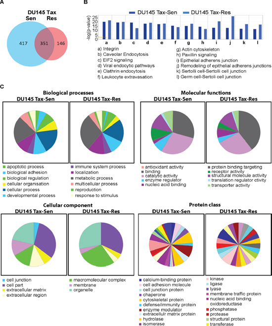 Bioinformatics analysis of the DU145 Tax-Sen and DU145 Tax-Res exosomal proteome.