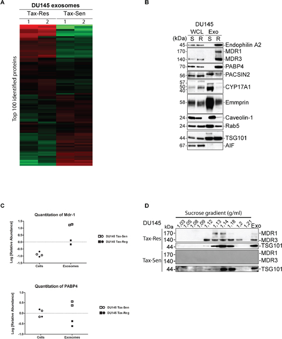 Proteomics profiling of exosomes isolated from docetaxel sensitive and resistant DU145 cells.