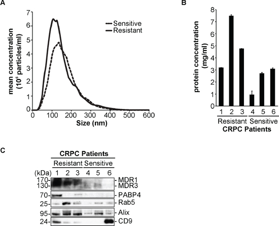 Validation of MDR-1/3 and PABP4 in the serum of castration resistant prostate cancer patients.