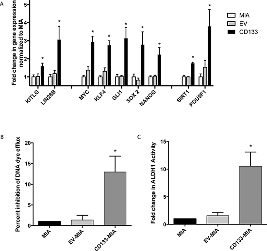 Expression of the cancer stem cell marker CD133 results in increased &#x201C;stemness&#x201D;.