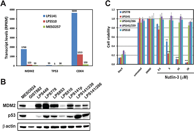 Expression of MDM2 and p53, and the anti-proliferative effects of Nutlin-3 in liposarcoma cell lines.