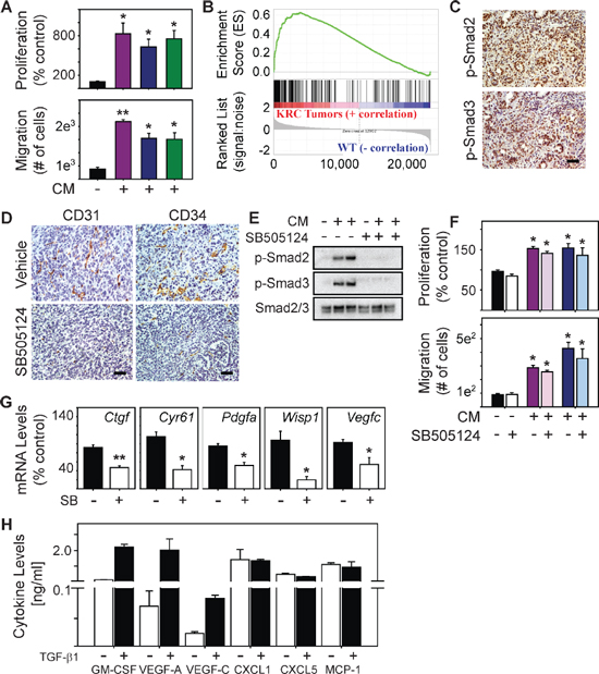 T&#x03B2;RI inhibition does not block endothelial activation but suppresses angiogenic gene expression in PCCs.