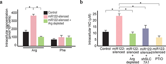 Arginine depletion decreases NO levels in miR122-silenced Huh7 cells.