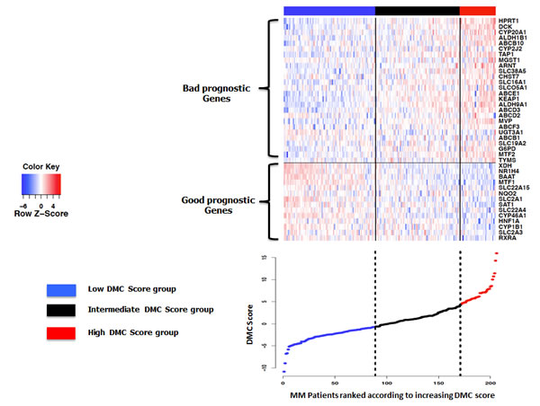 Heatmap of supervised clustering of the 40 prognostic genes for EFS along the 206 patients of the HM cohort ranked according increasing DMC score.