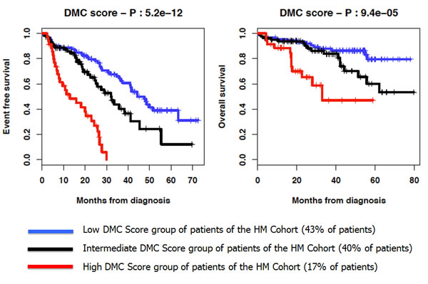 Kaplan-Meier curves of the EFS and OS of the 3 DMC score groups of patients of the HM cohort.