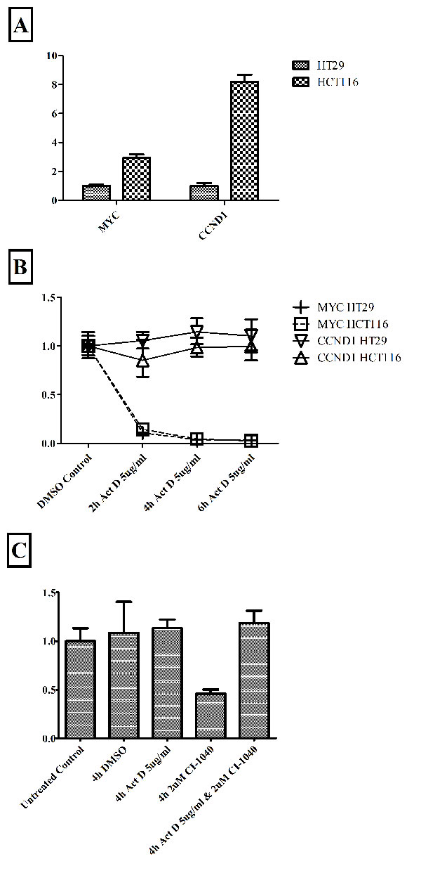 mRNA stability in HCT116 and HT29 cells.
