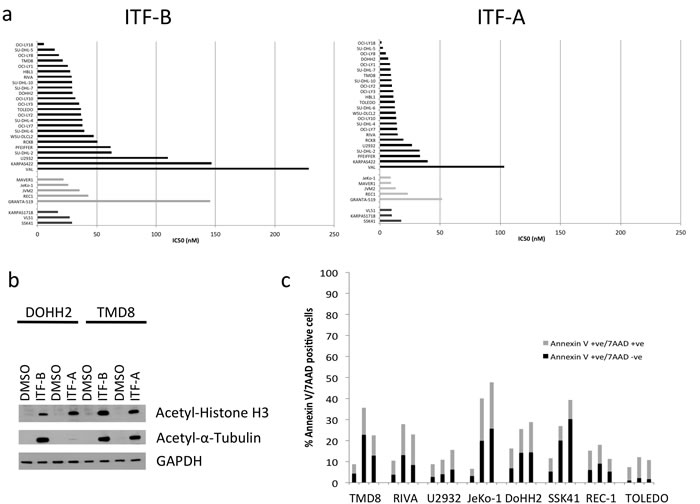 The novel histone deacetylase inhibitors ITF-B and ITF-A exhibit antiproliferative activities in a wide range of lymphoma cell lines.