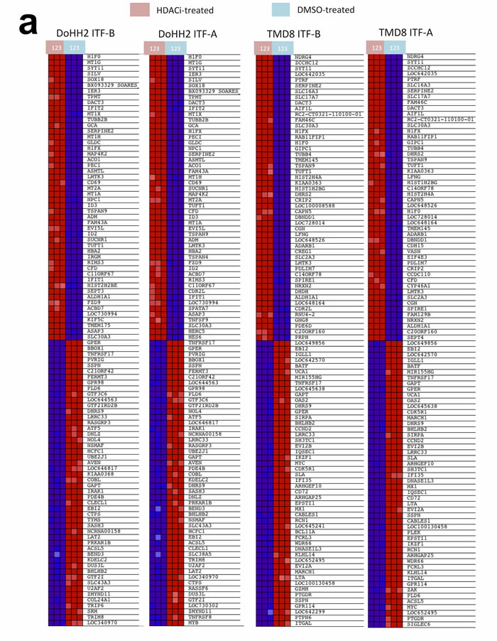 Treatment of DLBCL cell lines with ITF-B and ITF-A similarly modulates the expression of multiple genes.