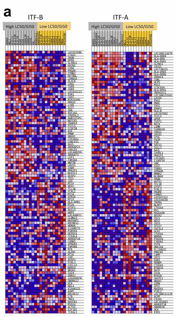 DLBCL cells assigned to low LC50/GI50 and high LC50/GI50 groups exhibit specific genetic signatures.