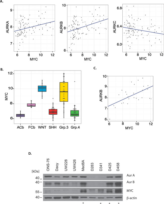 Aurora kinase mRNA and protein expression in relation to Myc expression in medulloblastoma.