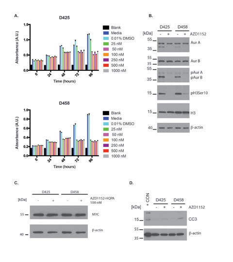 Anti-proliferative and pro-apoptotic effects of Aurora B inhibition in Group 3 medulloblastoma cells.