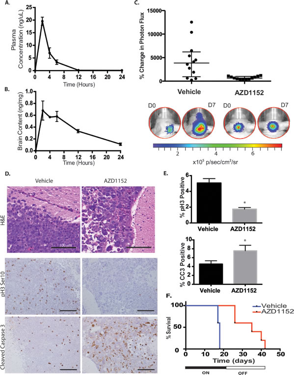 Aurora B inhibition in D458 human medulloblastoma intracranial xenograft model.