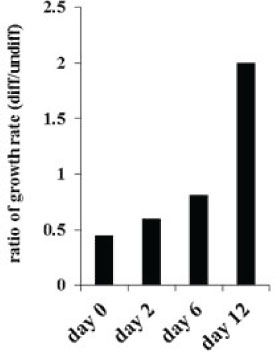 Decreased numbers of OSCSCs after treatment with supernatants from IL-2+anti-CD16mAb treated NK cells.