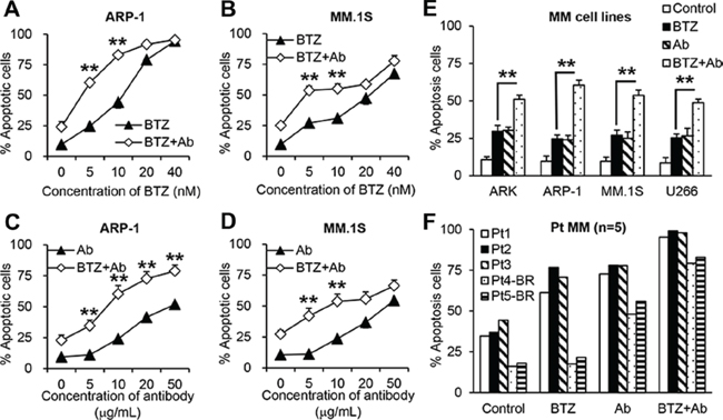 Anti-&#x03B2;2M mAbs and BTZ combination treatment in MM cells.