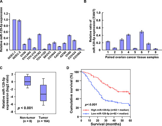 Downregulation of miR-129-5p correlates with ovarian cancer progression.