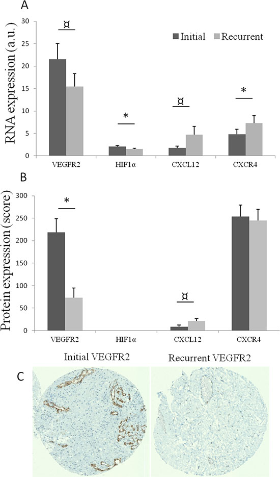 (A) Mean RNA expression, with standard error of mean, of VEGFR2, HIF1&#x03B1;, CXCL12 and CXCR4 in initial (dark grey) and recurrent tumors (light grey).