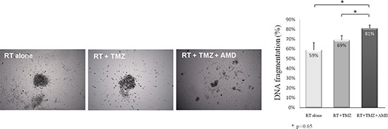 Addition of anti-CXCR4 to radiotherapy and temozolomide increased cell death in GBM explants.