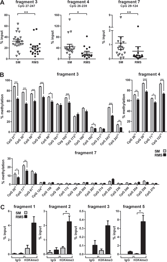 Analysis of methylation and histone occupancy of the Ptch promoter in RMS of heterozygous Ptch mice.