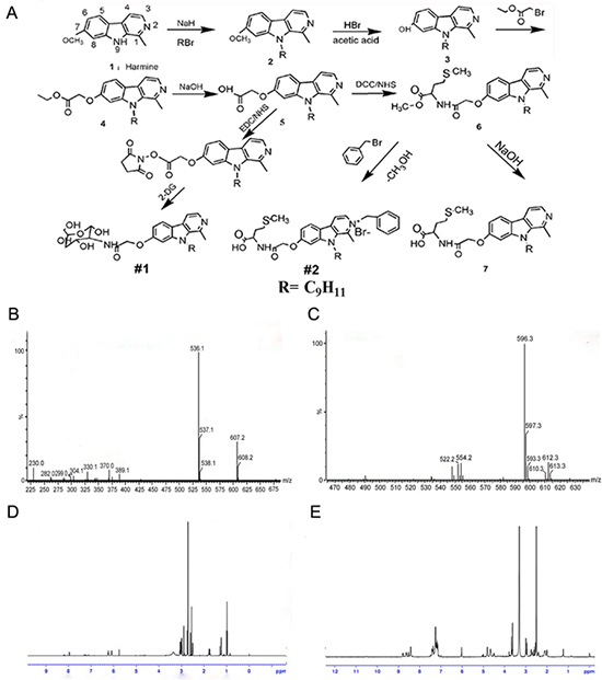 Figure 1: